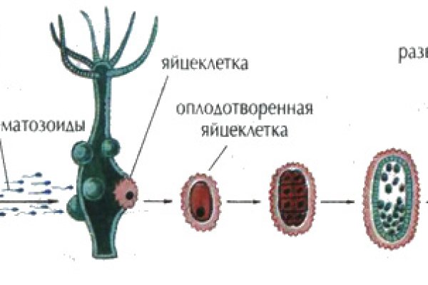 Где найти рабочую ссылку кракен