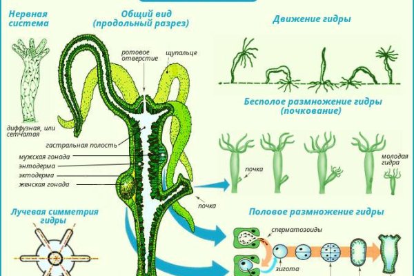 Кракен сайт как зайти