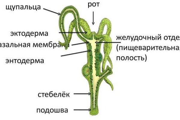 Кракен ссылка на сайт com