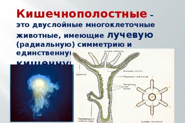 Кракен маркетплейс про