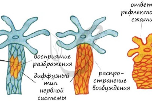 Кракен ссылка германия